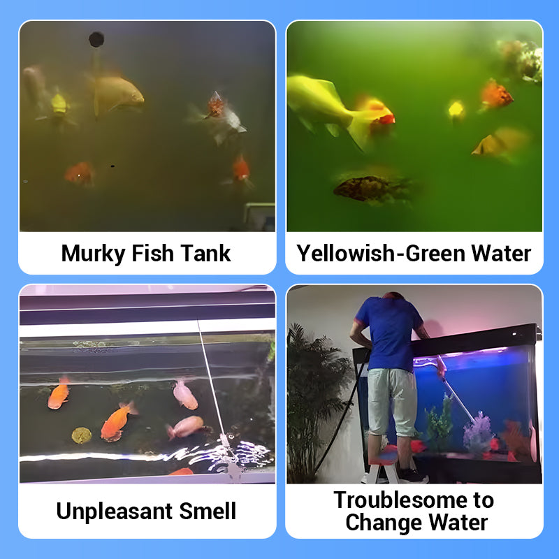 ✨️LAST DAY SALE 60% RABATT✨️Powerful aquarium water purification tablets🌿