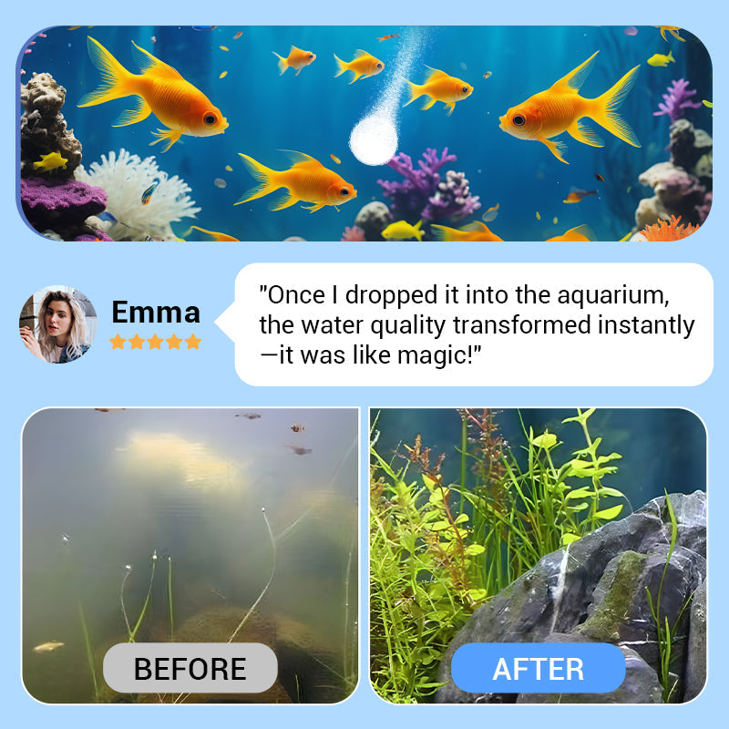 ✨️LAST DAY SALE 60% RABATT✨️Powerful aquarium water purification tablets🌿