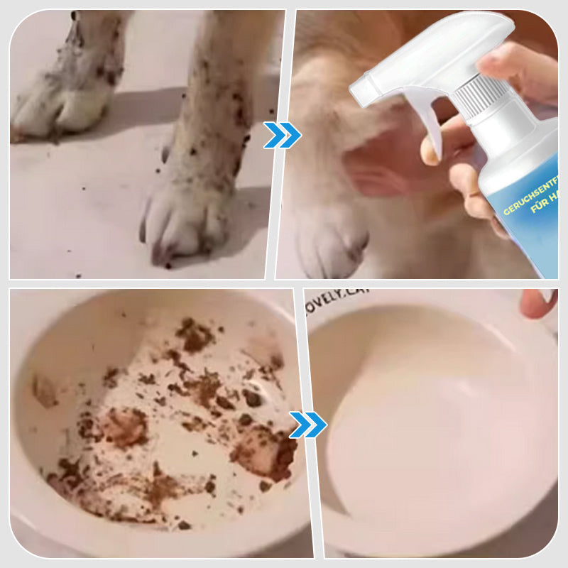 🐱🐶Lugtfjernerspray til kæledyr🍃