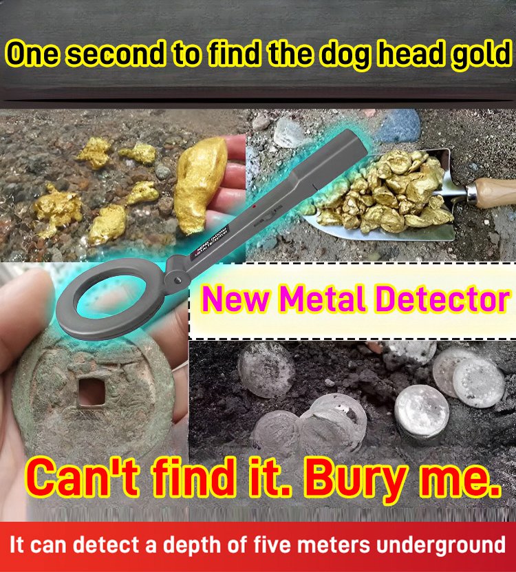 Heißer Verkauf🔥Hochempfindlicher Metallscandetektor 🕵️♂️🔍✨