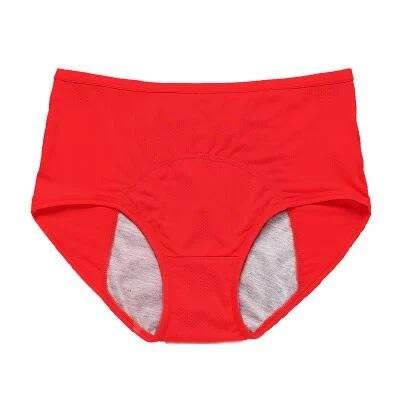 🌸Kaufe 1 und erhalte 3 Packungen🔥Hohe Taille Auslaufsicher Höschen