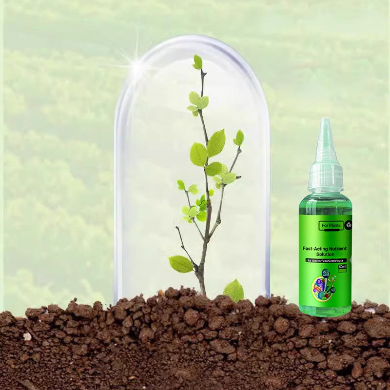 Schnell wirkende Nährstofflösung für Pflanzen(50ml)