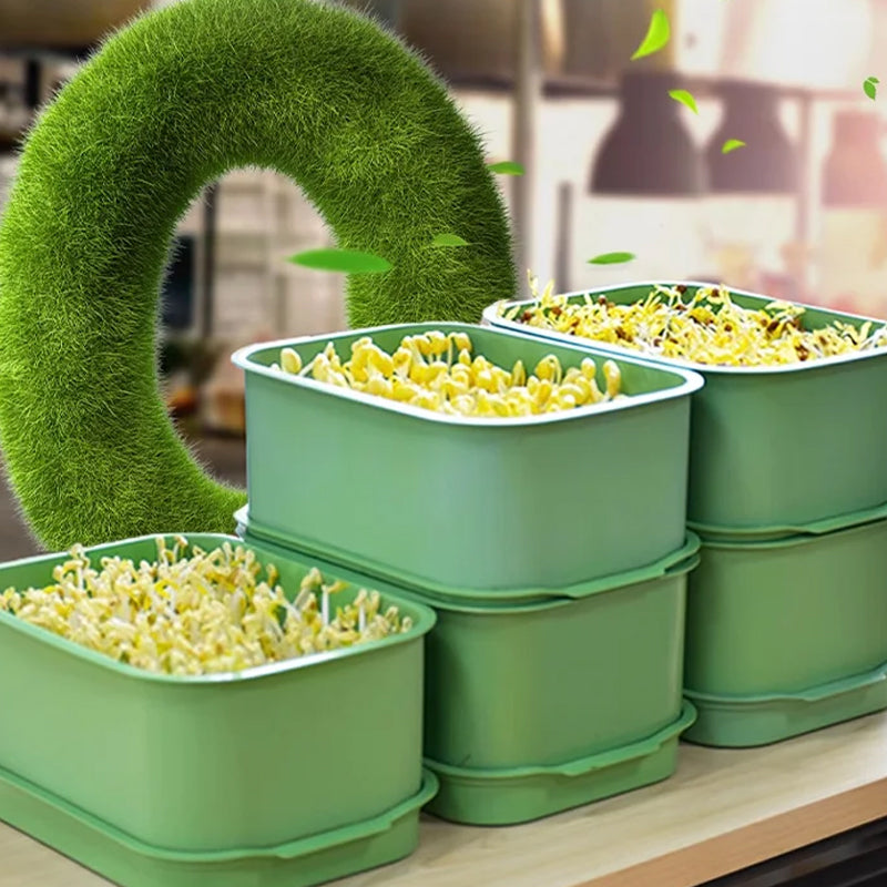 🌱💚Stapelbare Bohnenspüle -Wachstumskiste
