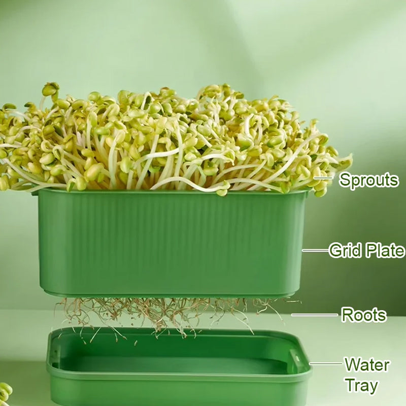 🌱💚Stapelbare Bohnenspüle -Wachstumskiste