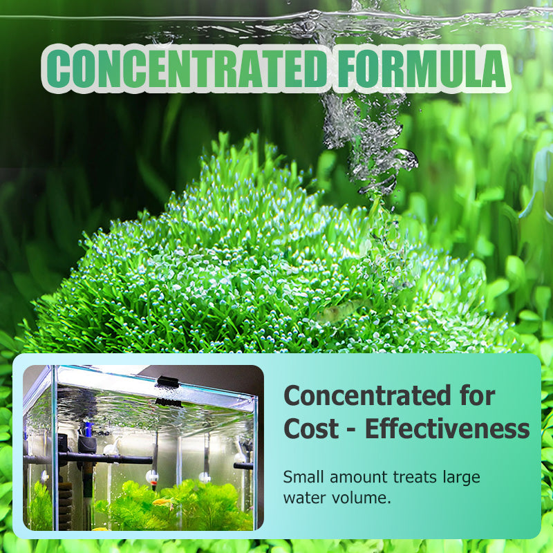 Fish Tank Algaecide Remover