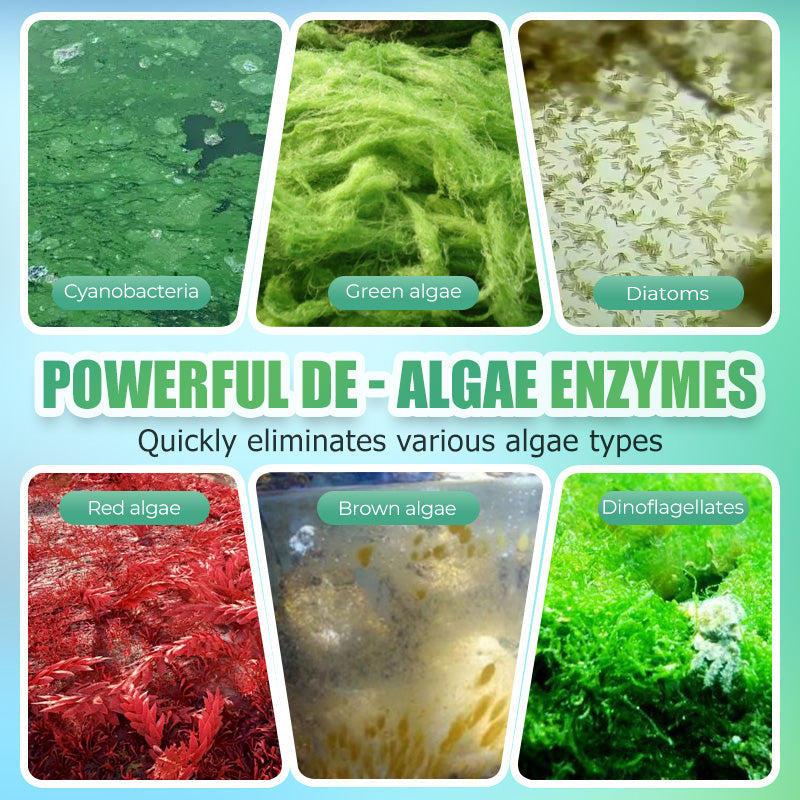 Fish Tank Algaecide Remover