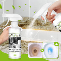 🔥HOT 50% OFF🎁🌸Christmas Sale🌸Multi-Purpose Oxalic Acid Stain Remover Spray- Buy 2 Get 2 Free!