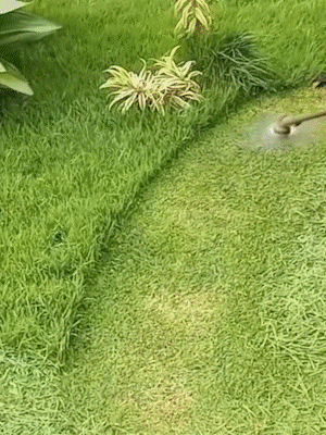 🛠️👉 JETZT 50 % RABATT! ⚙️ Ersatzkopf für Rasentrimmer – Werkzeugloser Schnellwechsel, verwicklungsfreies Design und universelle Kompatibilität ✂️🌿