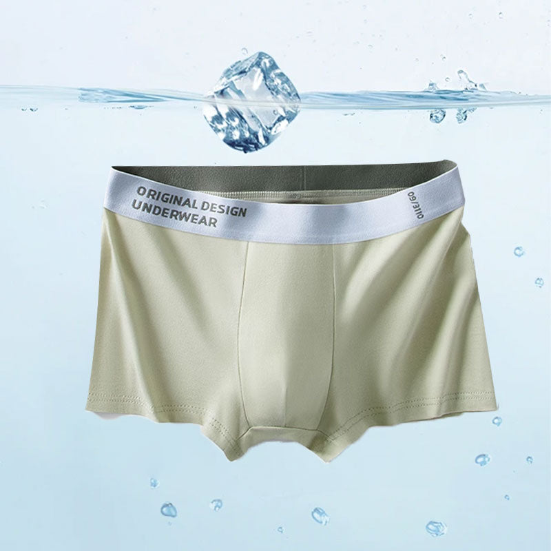 🔥 Zeitlich Begrenztes Angebot (Buy 1 Get 3 Free)  Herren 3D Atmungsaktive Boxershorts