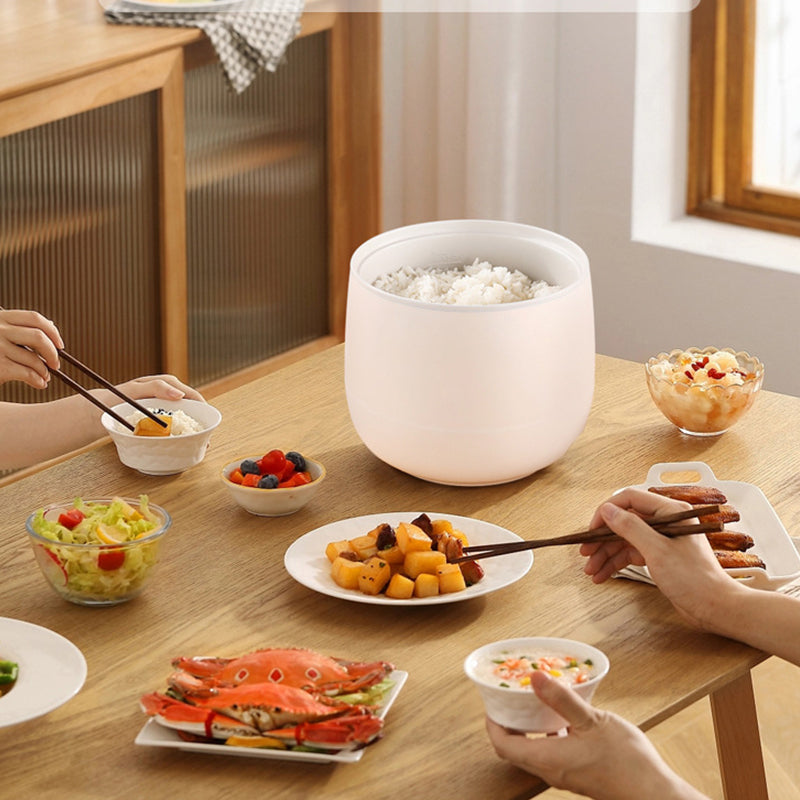 Mini-Elektro-Heißluftdämpfer mit Dampfgarer（50% OFF）