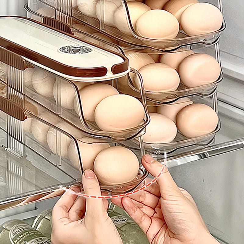 🌸Herbstschlussverkauf🌸Transparenter Eier-Organizer für die Küchen-Seitentür des Kühlschranks