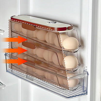 🌸Herbstschlussverkauf🌸Transparenter Eier-Organizer für die Küchen-Seitentür des Kühlschranks