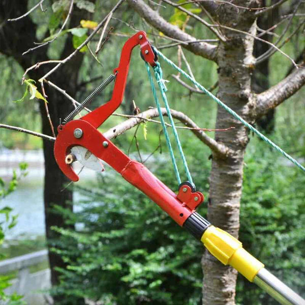 Japan Denosuke Kohlenstoffstahl arbeitssparende Hochstammschere