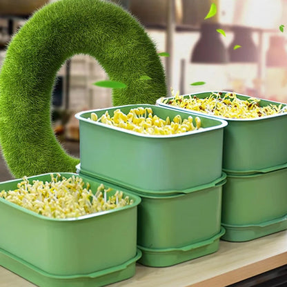 🌱💚Stapelbare Bohnenspüle -Wachstumskiste