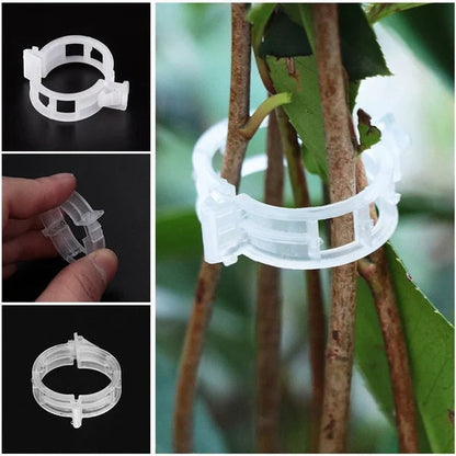 🗜️Clips für Kletterpflanzen – Tomatenbinder und Pflanzenbefestigungen aus Kunststoff 🌱🍅