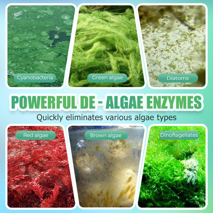 Fish Tank Algaecide Remover